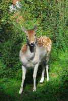 /album/o-que-visitar/nik-0112-514x768-jpg/