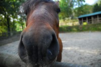 /album/o-que-visitar/nik-0955-1024x685-jpg/