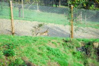 /album/o-que-visitar/nik-0994-1024x685-jpg/