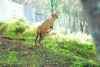 /album/o-que-visitar/nik-1053-1024x685-jpg/